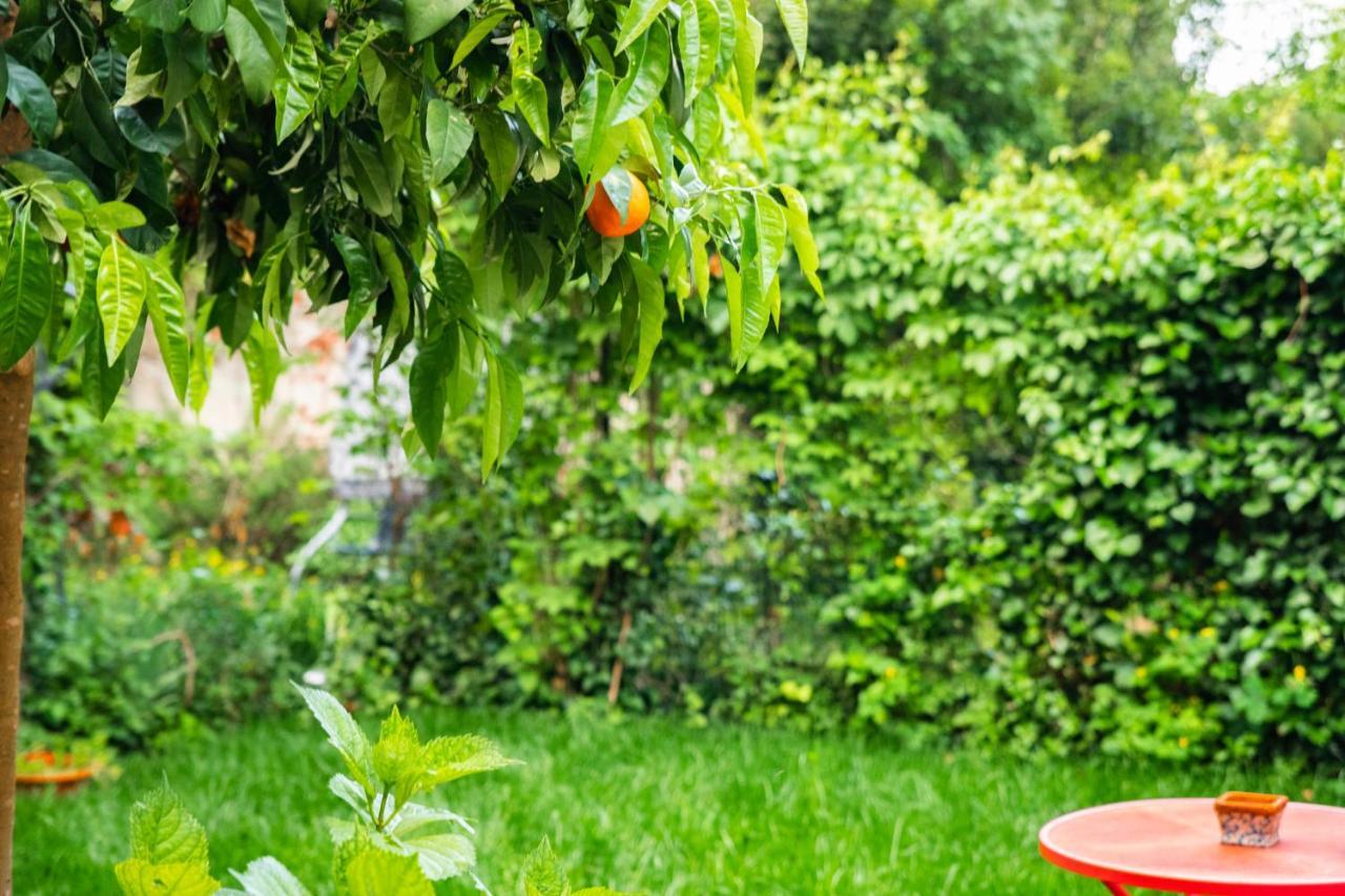 Marylou Gardenhouse Apartman Pisa Kültér fotó