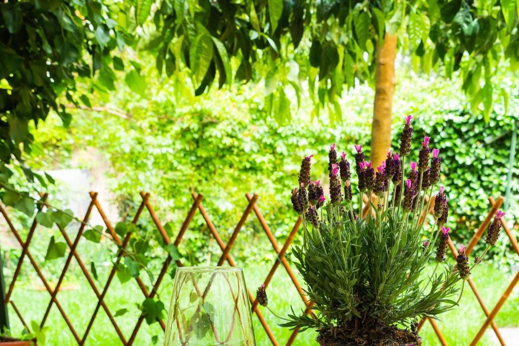 Marylou Gardenhouse Apartman Pisa Kültér fotó