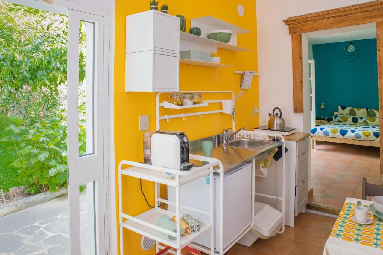 Marylou Gardenhouse Apartman Pisa Kültér fotó